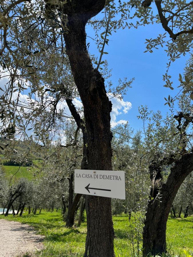 La Casa Di Demetra. Un Paradiso Tra Gli Olivi. Montecchio  Exterior photo